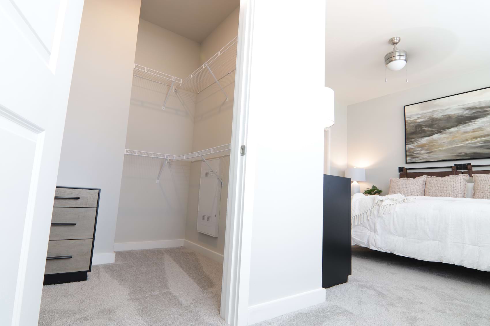 view of walk in closet in large bedroom
