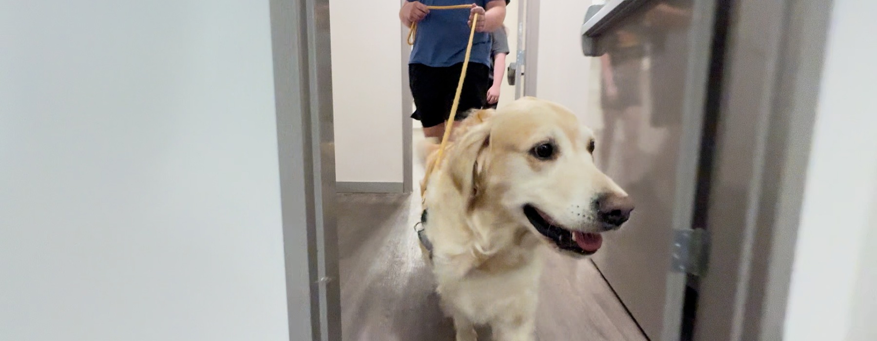 Dog and his owner walk through the pet friendly apartment community of the Ravelle in Antioch, Tennessee